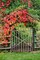 The Garden Gate Poster Print by George Johnson - Item # VARPDXPSJSN234